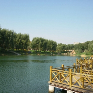 公園，是花園更似家園