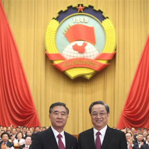 政協(xié)第十三屆全國委員會選出領(lǐng)導(dǎo)人汪洋當選全國政協(xié)主席