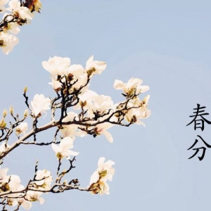 春分 （二十四節(jié)氣之一） 　　