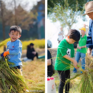 上海市松江區(qū)石湖蕩首屆農耕文化節(jié)活動報名