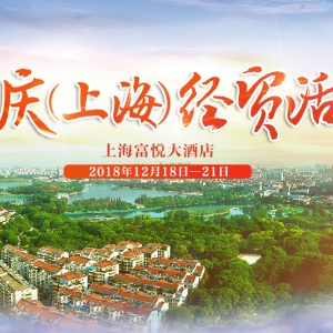 黃梅之鄉(xiāng)——安慶：走進上海，加強與長三角地區(qū)政企合作交流，促進安慶經(jīng)濟高質量發(fā)展