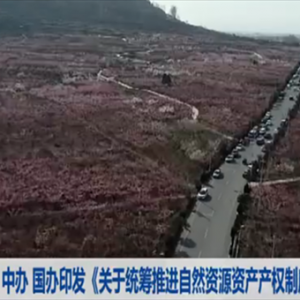 中辦國(guó)辦印發(fā)指導(dǎo)意見統(tǒng)籌推進(jìn)自然資源資產(chǎn)產(chǎn)權(quán)制度改革