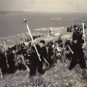 「壯麗70年·奮斗新時(shí)代——足跡」大陳島傳奇