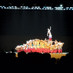 群星獎(jiǎng)惠民演出走進(jìn)松江 老百姓在家門(mén)口享受藝術(shù)盛宴