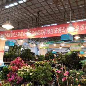 上海通俗文藝研究會(huì)在一九園藝公司舉辦書畫聯(lián)誼筆會(huì)