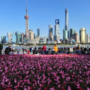 上海街頭花團(tuán)錦簇迎進(jìn)博會(huì) 1340萬(wàn)盆鮮花點(diǎn)綴街頭