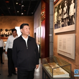 五次地方考察，習(xí)近平現(xiàn)場指導(dǎo)主題教育