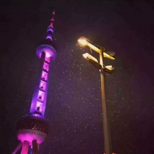 上海入春了，上海下雪了！沒(méi)趕上雪景的看這里→