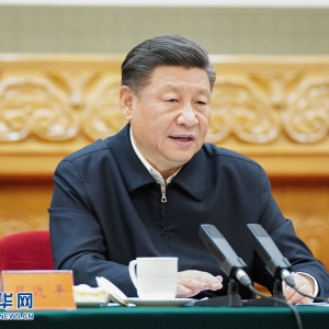 黨中央的決心有多大？看習(xí)近平這10段話！