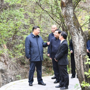 習(xí)近平在陜西考察秦嶺生態(tài)保護(hù)情況