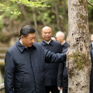 曾六次批示指示 習(xí)近平陝西考察首站關(guān)注這個(gè)“根本大計(jì)”
