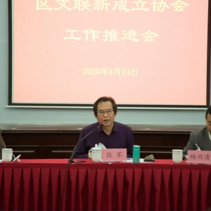 砥礪前行  創(chuàng)新發(fā)展——松江區(qū)文聯(lián)舉辦新成立協(xié)會工作推進(jìn)會