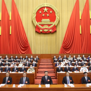 十三屆全國人大三次會議在京開幕