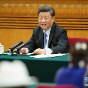 習近平參加內(nèi)蒙古代表團審議
