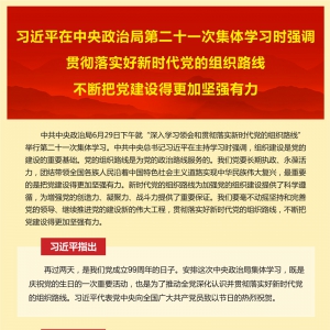 習(xí)近平在中央政治局第二十一次集體學(xué)習(xí)時(shí)強(qiáng)調(diào) 貫徹落實(shí)好新時(shí)代黨的組織路線 不斷把黨建設(shè)得更加堅(jiān)強(qiáng)有力