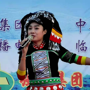 《紫砂俊杰》榮獲第八屆亞洲微電影藝術(shù)節(jié)金海棠獎(jiǎng)