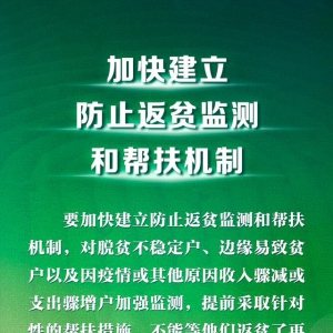 聯播+｜脫貧摘帽不是終點 習近平這樣部署長久之策