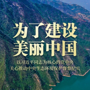 為了建設(shè)美麗中國——以習(xí)近平同志為核心的黨中央關(guān)心推動(dòng)中央生態(tài)環(huán)境保護(hù)督察紀(jì)實(shí)