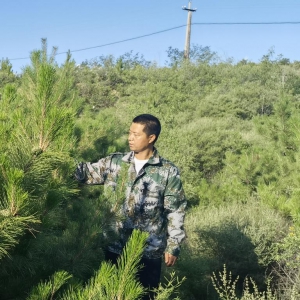 筑牢京津冀生態(tài)屏障 河北13萬余名林長守護綠水青山
