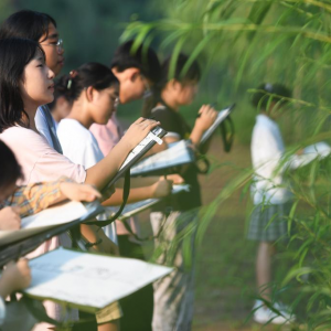 河南嵩縣：畫(huà)筆繪就伏牛山村振興新貌