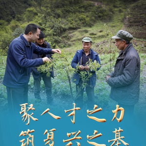 聚人才之力　筑復興之基——新時代人才事業(yè)發(fā)展成就綜述