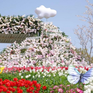 上海金山推動“旅游+”融合發(fā)展：全域旅游多點開花