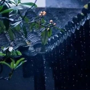 淮上聽(tīng)雨