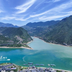 重慶：長江巫峽段現(xiàn)“涇渭分明”鴛鴦景觀
